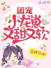 团宠小龙崽又甜又软玉辞云TXT趣笔阁