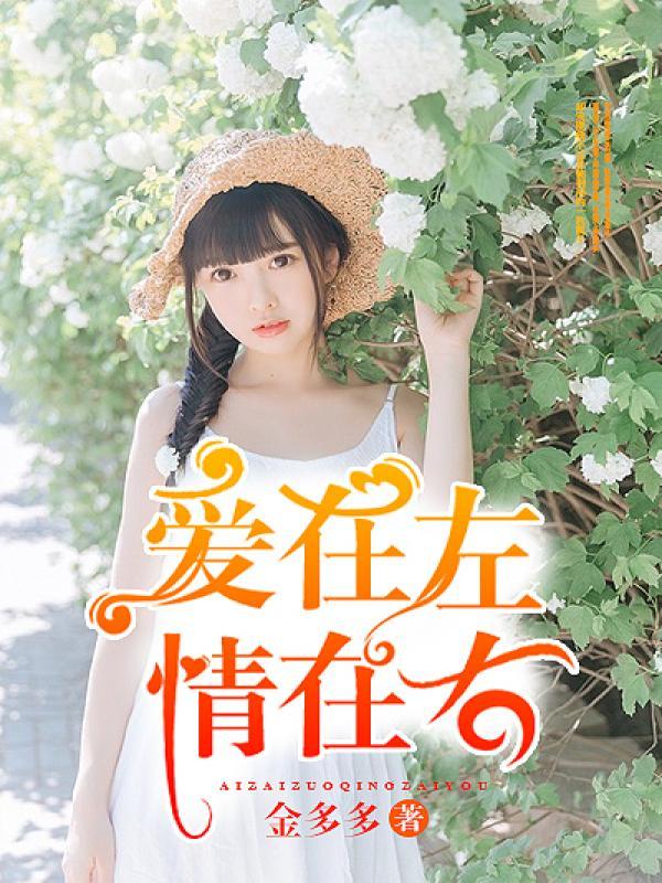 爱在左情在右dj版原唱视频